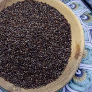Wild Mustard (Jakhya)