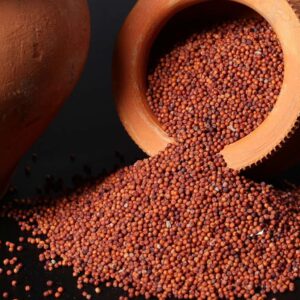 Finger millet