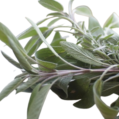 herb