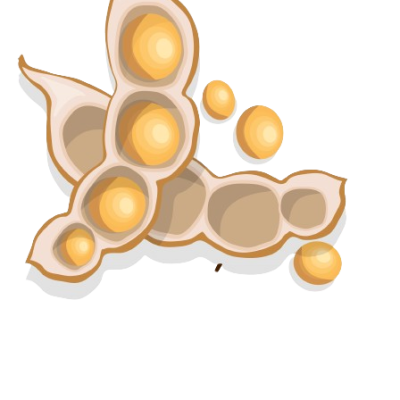 pulses